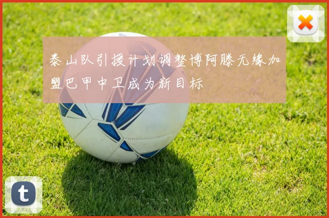 泰山队引援计划调整博阿滕无缘加盟巴甲中卫成为新目标
