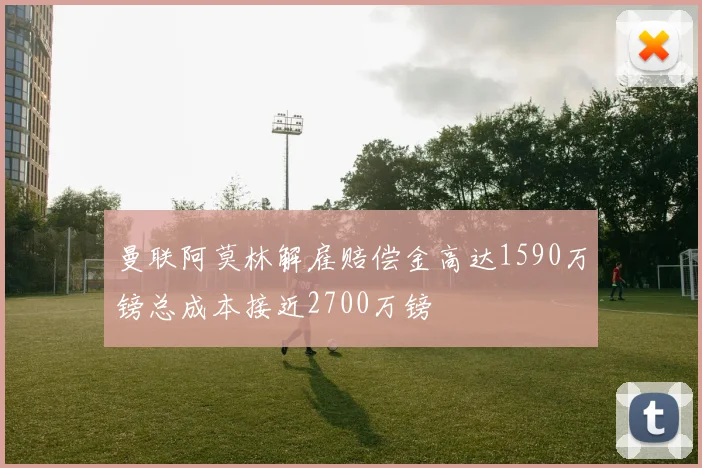 曼联阿莫林解雇赔偿金高达1590万镑总成本接近2700万镑
