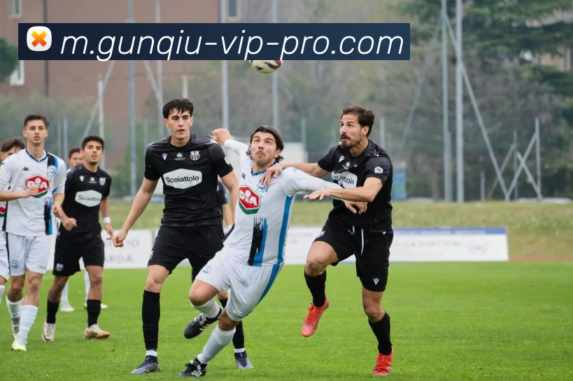 App Interface Preview